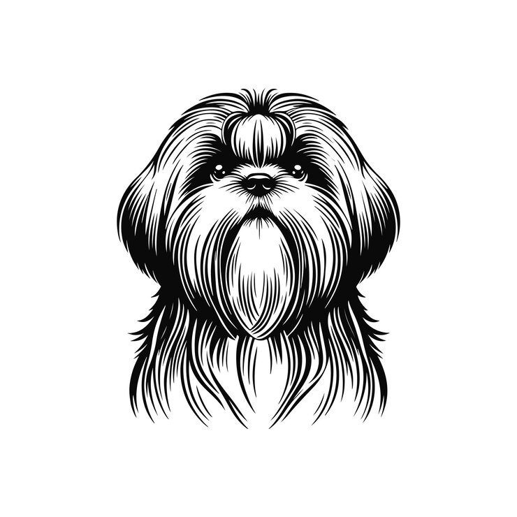 Vetor shih tzu posa silhueta vetorial muito bonita design de cão