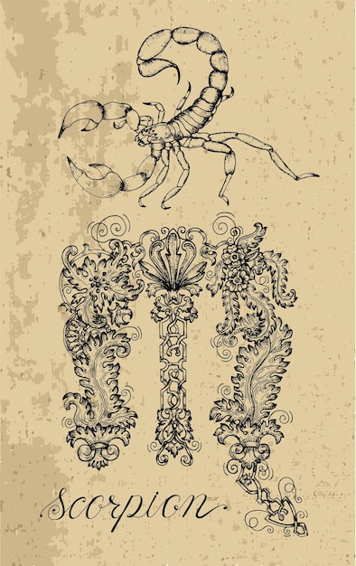 Vetor signo do zodíaco escorpião e mascote de fantasia em textura coleção de personagens e símbolos astrológicos