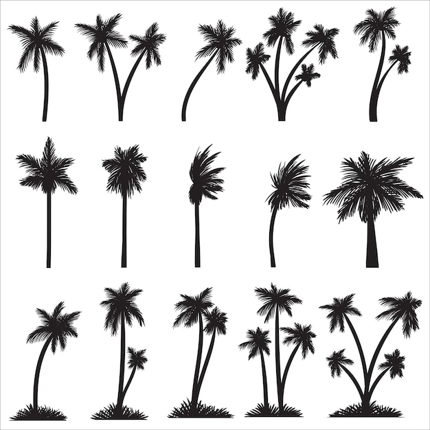 Vetor silhouette palm tree set ilustração vetorial de coleção