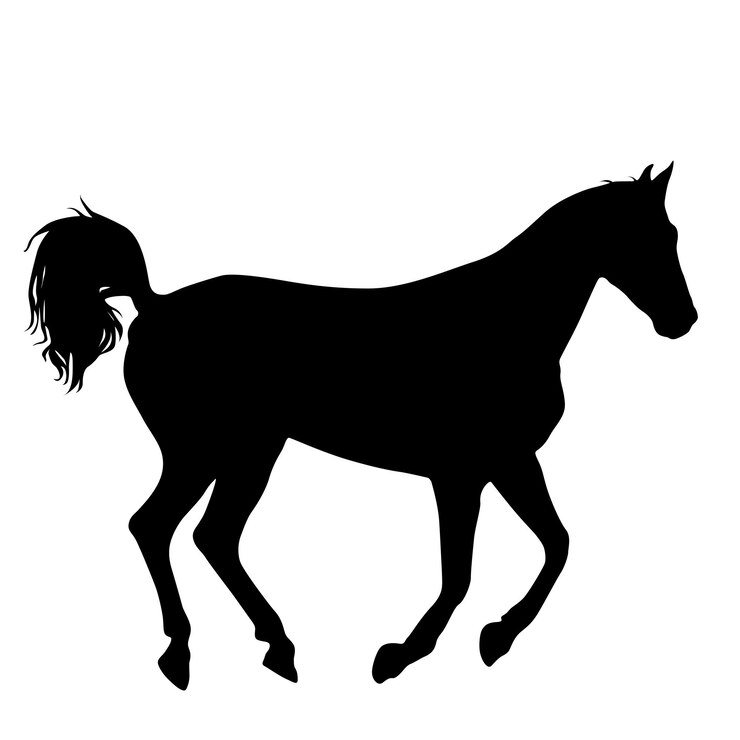 Vetor silhueta animal da ilustração do cavalo mustang preto