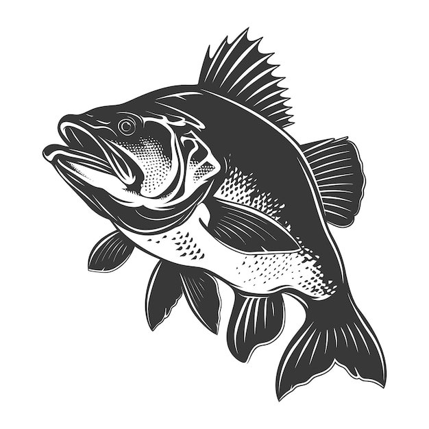 Vetor silhueta bacalhau peixe animal cor preta apenas