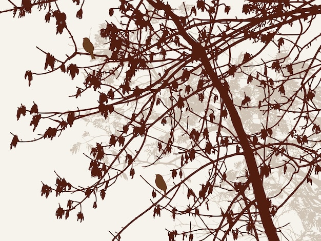 Vetor silhueta da árvore de outono