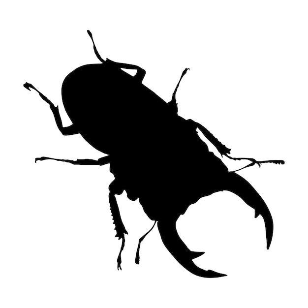 Silhueta da ilustração vetorial do besouro do chifre