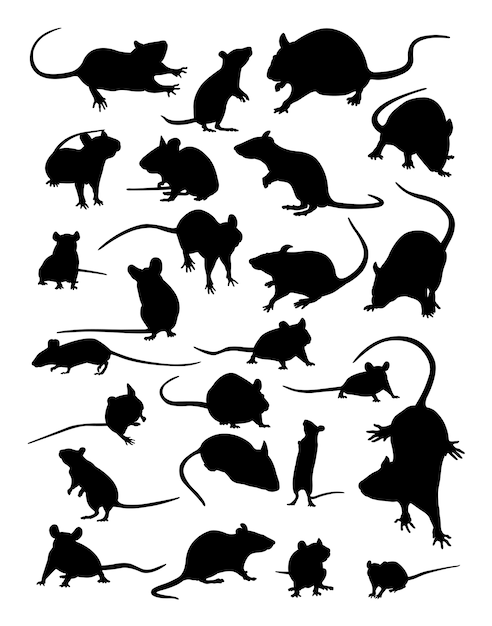Silhueta de animal de rato