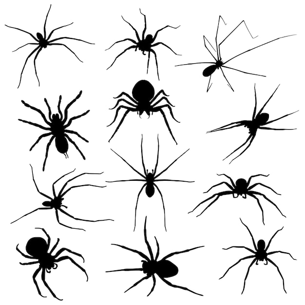 Vetor silhueta de aranha em diferentes poses