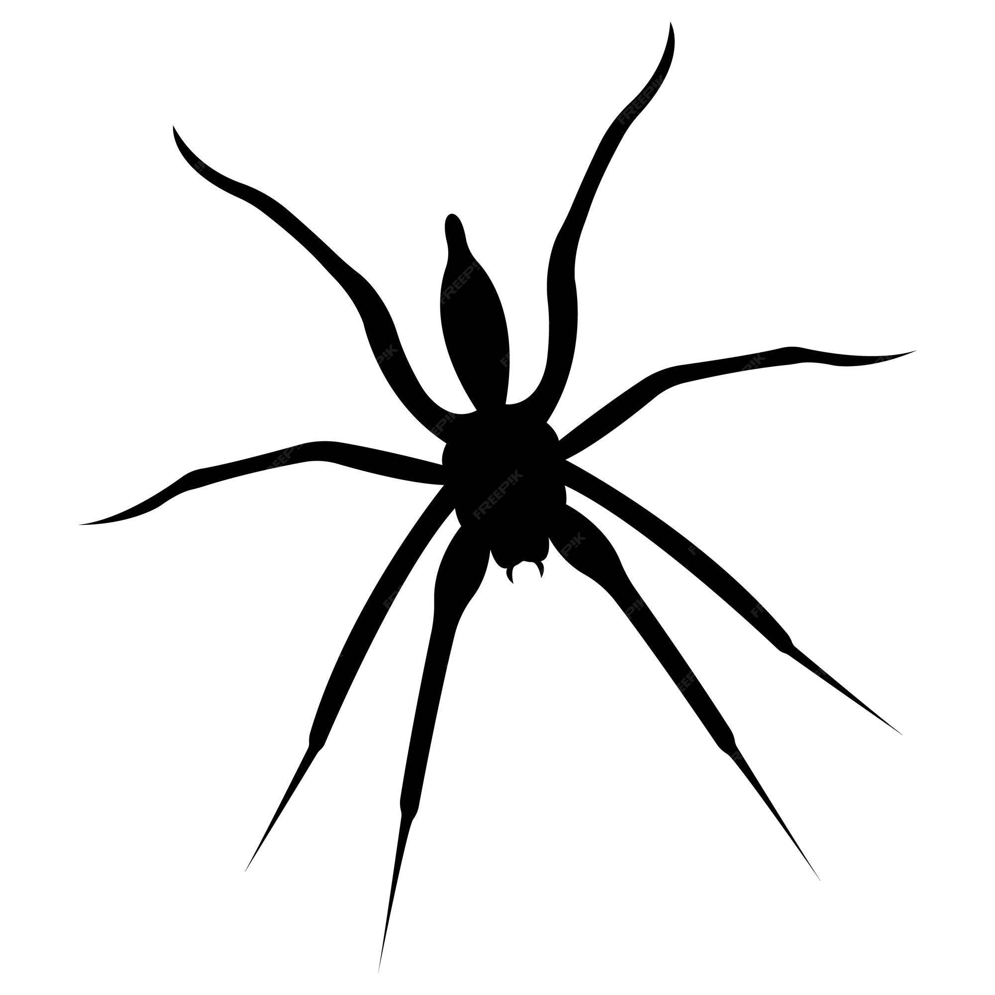 vetor de aranha preta assustadora com uma cara assustadora. design