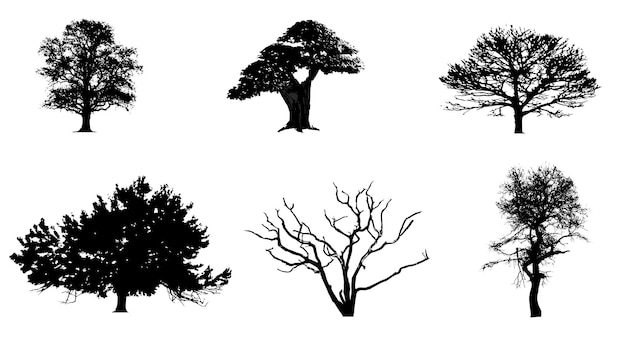 Silhueta de árvore 6 árvores diferentes