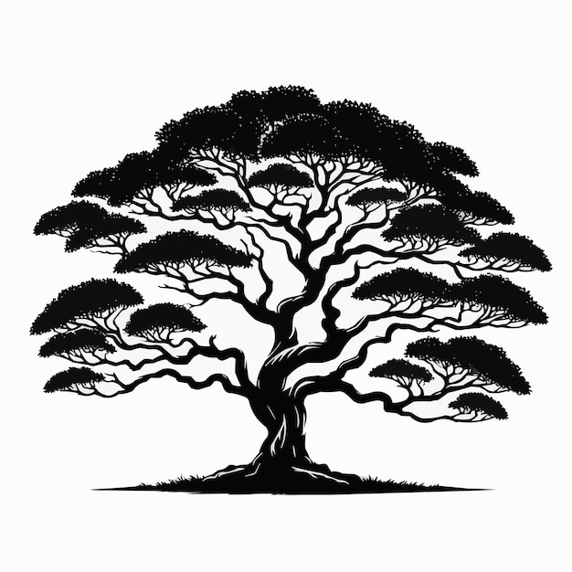 Vetor silhueta de árvore de vetor livre isolada em fundo branco