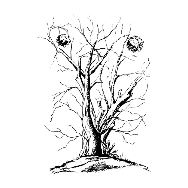 Silhueta de árvore preta isolada no fundo branco