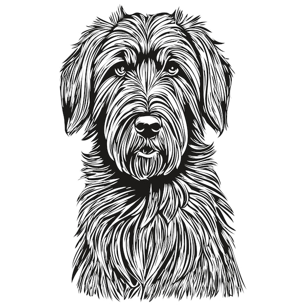 Vetor silhueta de cachorro de estimação de briard ilustração de linha de animal desenhada à mão em preto e branco vetor animal de estimação realista de raça