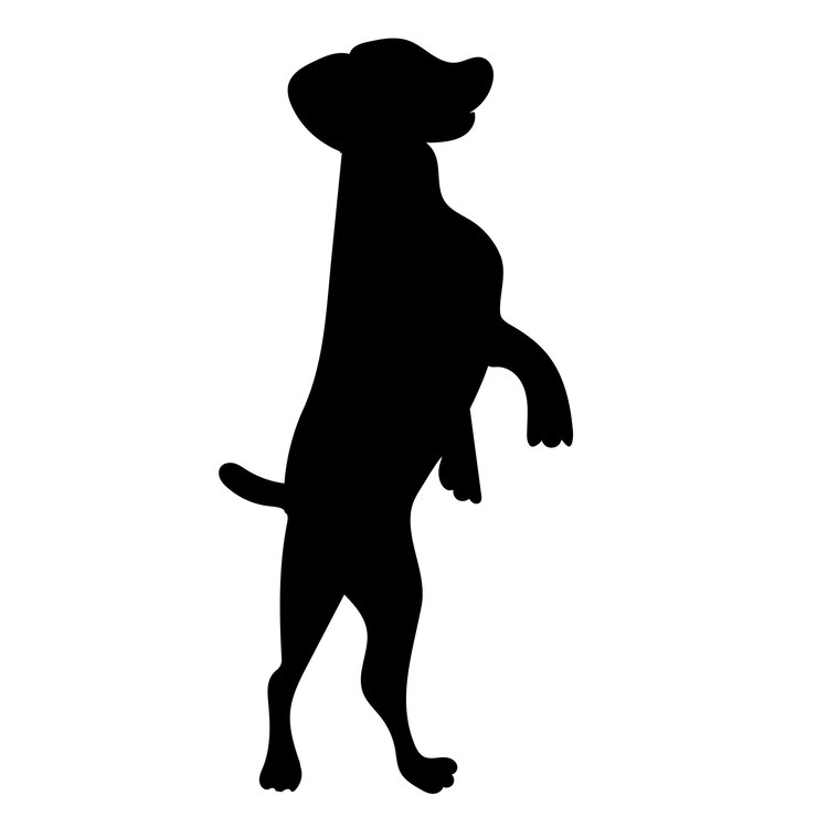 Vetor silhueta de cachorro no vetor de fundo branco