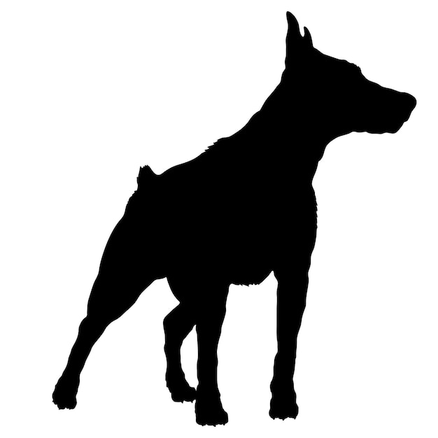 Vetor silhueta de cão cão doberman pinsch cria logotipo cão monograma cão vetor rosto cão sentado deitado