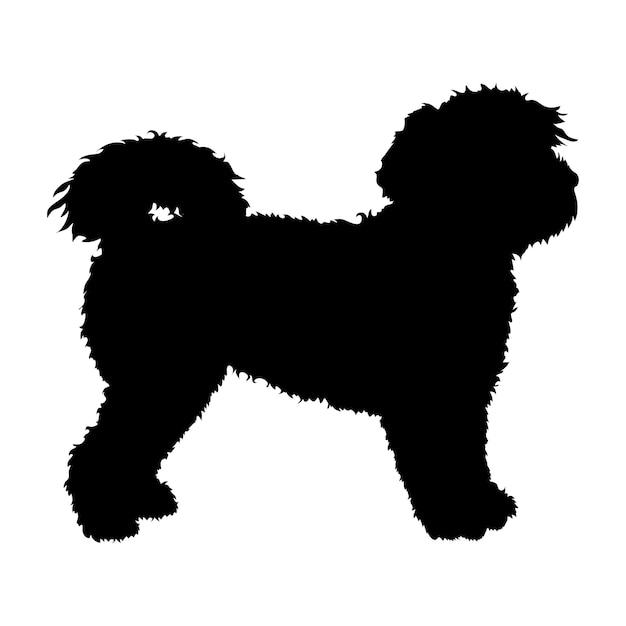 Silhueta de cão cão labradoodle raças logo cão monograma vetor logo