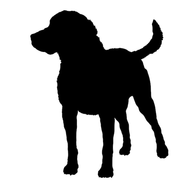 Vetor silhueta de cão raças de cão logotipo cão monograma cão rosto vetor chesapeake bay retriever