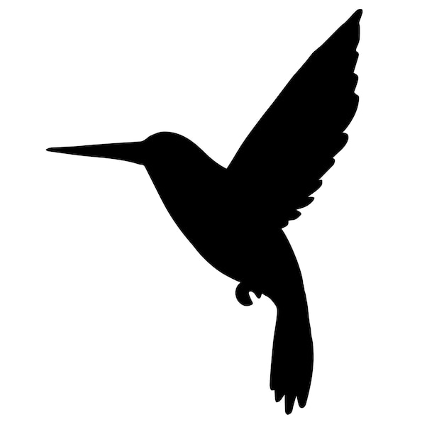 Silhueta de colibri de vetor isolada em fundo branco
