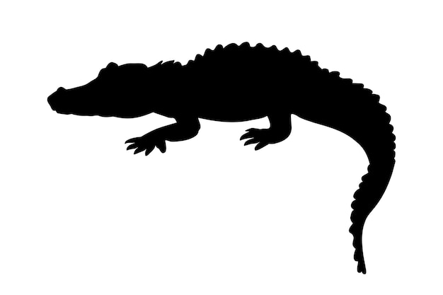 Silhueta de crocodilo jacaré isolada ilustração vetorial