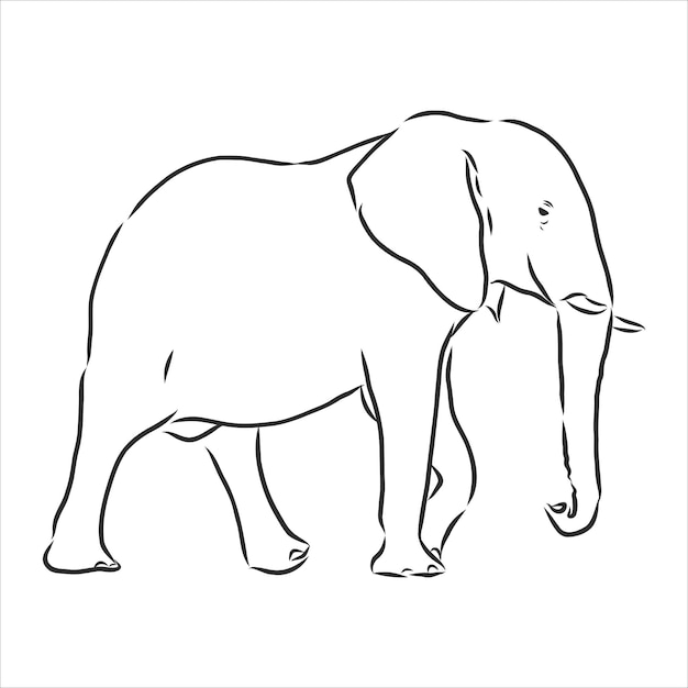 Silhueta de elefante africano - à mão livre em um fundo branco, ilustração vetorial