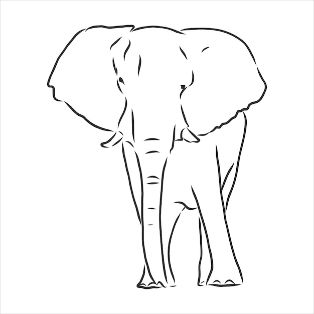 Silhueta de elefante africano - à mão livre em um fundo branco, ilustração vetorial