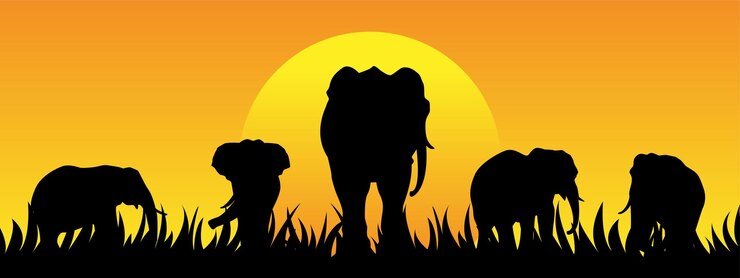 Vetor silhueta de elefantes da savana conceito de vida selvagem ilustração vetorial
