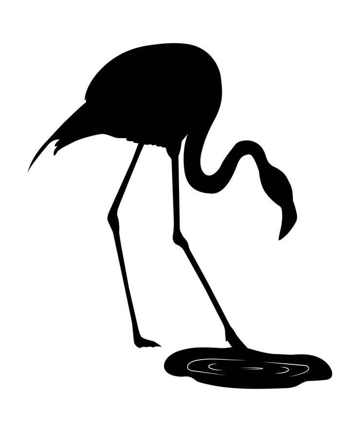 Vetor silhueta de flamingo plana de vetor isolada no fundo branco.