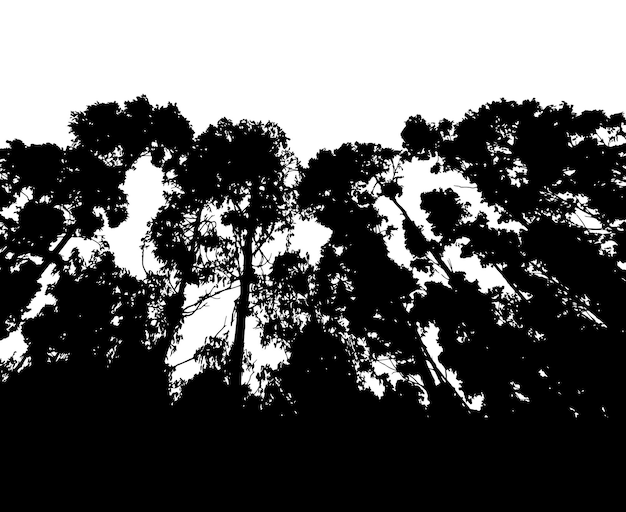 Silhueta de floresta isolada em vetor de fundo branco