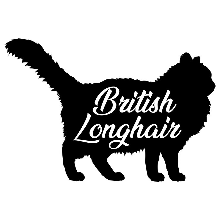 Vetor silhueta de gato britânico raças de gato logotipo silhueta vetorial ilustração de animal desenho de sinal de ícone