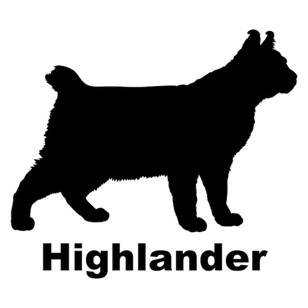 Vetor silhueta de gato cria monograma de gato vetor highlander
