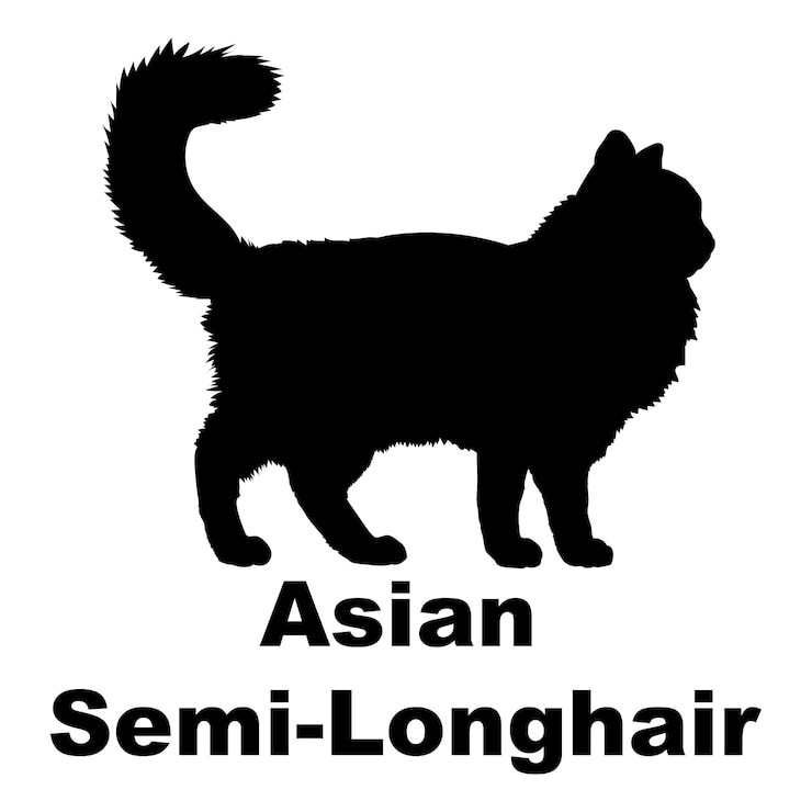 Vetor silhueta de gato cria vetor de monograma de logotipo de gato