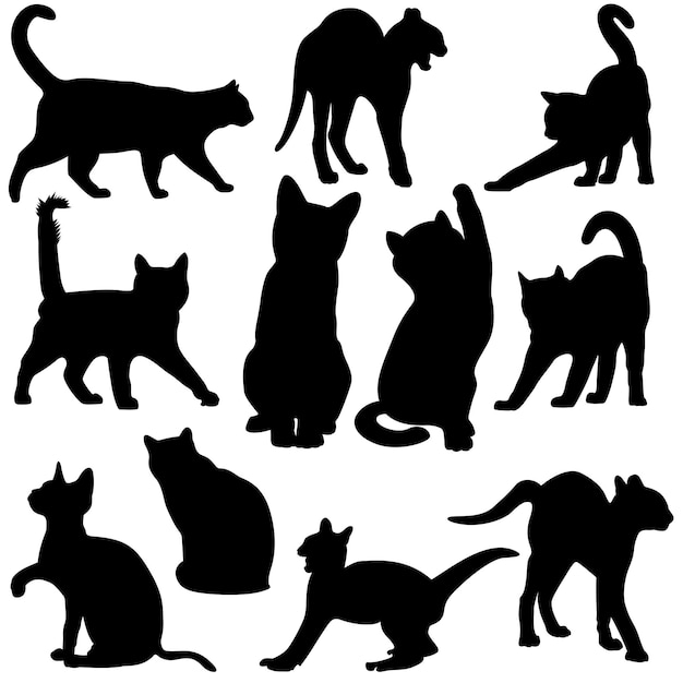 Silhueta de gato silhueta de animais desenhados à mão conjunto de ilustração 1