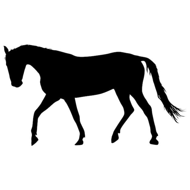 Vetor silhueta de ilustração vetorial de cavalo mustang preto