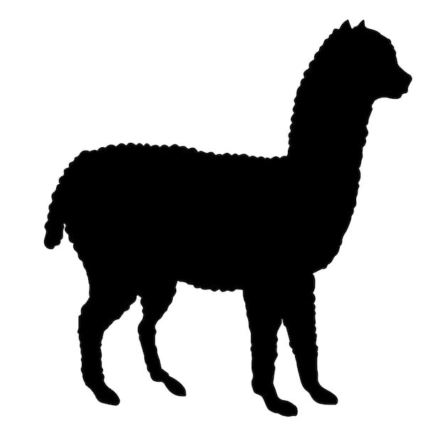 Silhueta de lhama de alpaca vetorial isolada no fundo branco