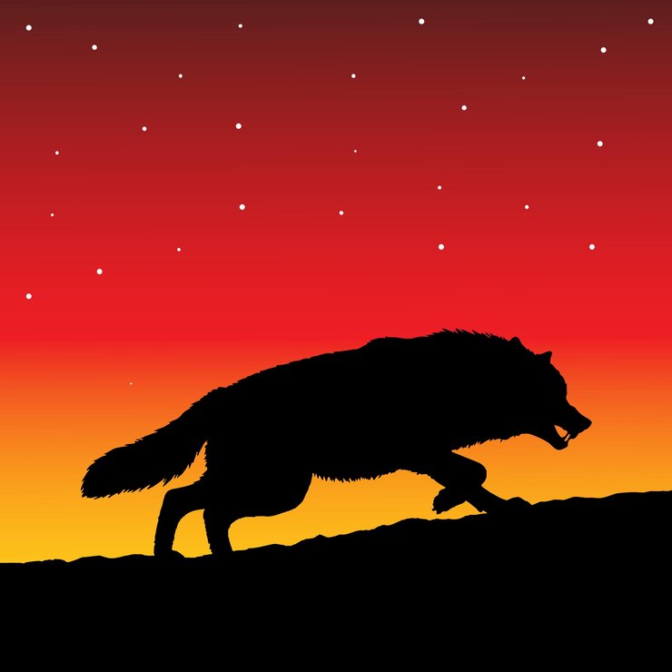 Vetor silhueta de lobo contra um céu de pôr-do-sol vibrante com estrelas