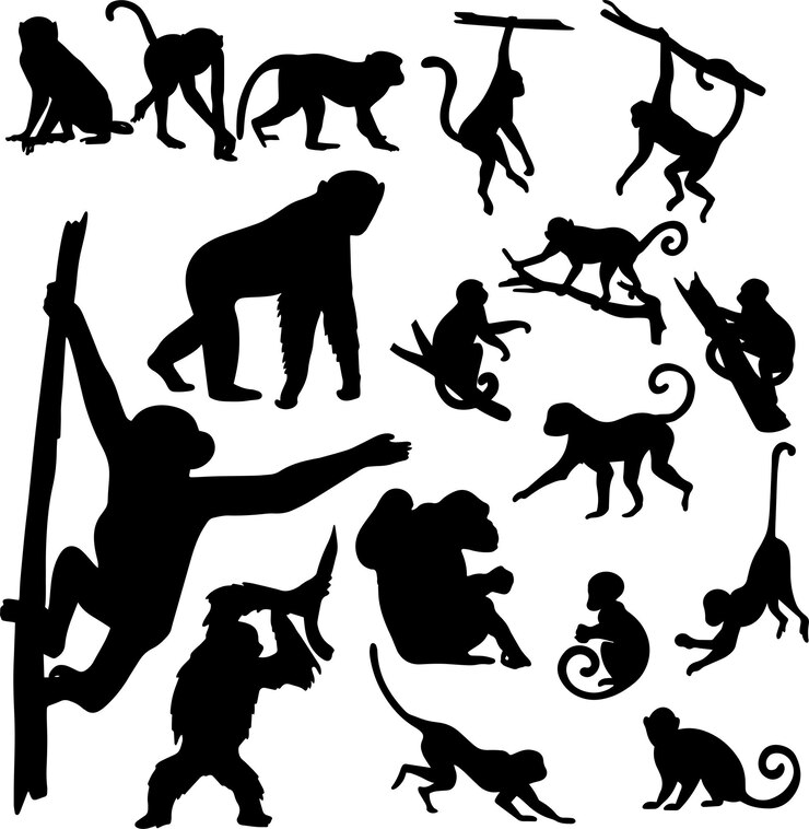 Silhueta de macaco desenhada à mão vetorial