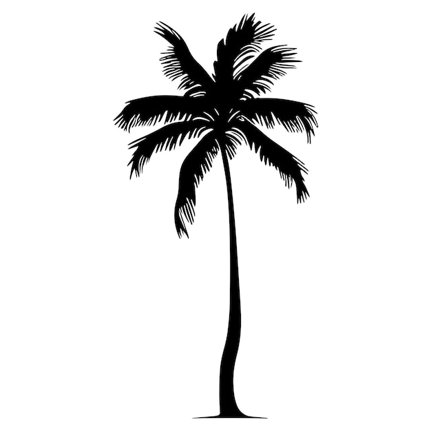 Silhueta de palmeira Ilustração vetorial