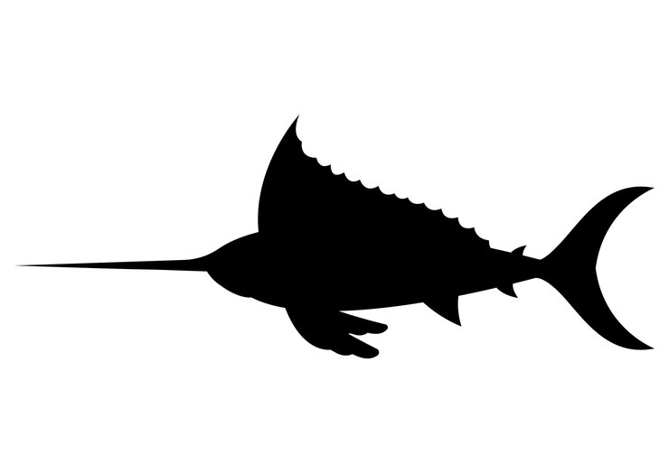 Vetor silhueta de peixe-espada clipart vetor design plano
