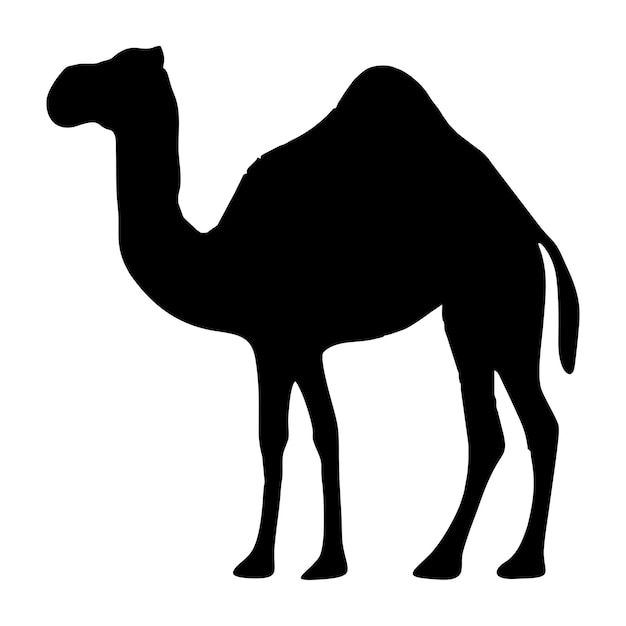 Vetor silhueta de um camelo preto de pé