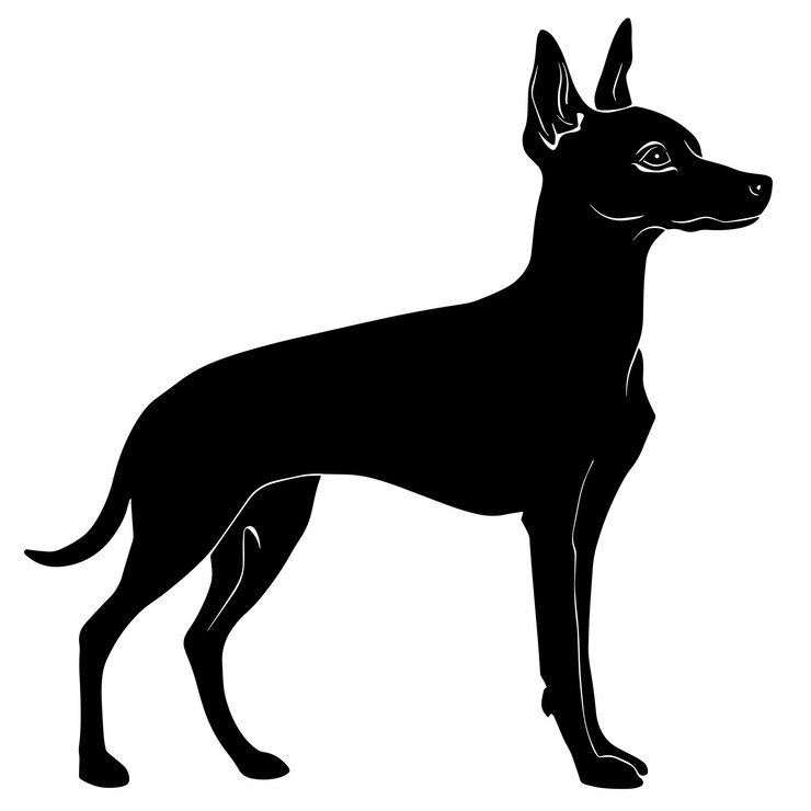 Vetor silhueta de um xoloitzcuintli