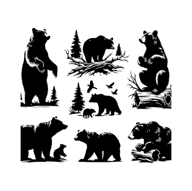 Vetor silhueta de urso isolada na ilustração vetorial de fundo branco