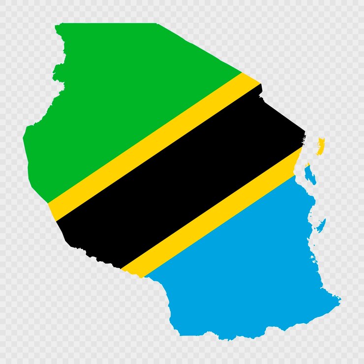 Vetor silhueta do mapa da tanzânia com bandeira