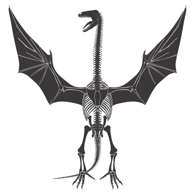 Vetor silhueta esqueleto de pterodáctilo de dinossauro só cor preta