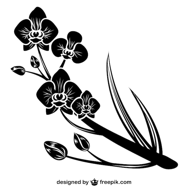 Silhueta negra orquídea