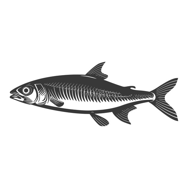 Silhueta peixe sardinha animal cor preta apenas corpo inteiro