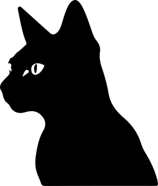 Silhueta preta de gato birmanês com fundo transparente