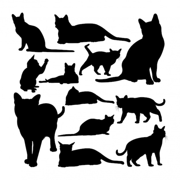 Silhuetas de animais de gato korat