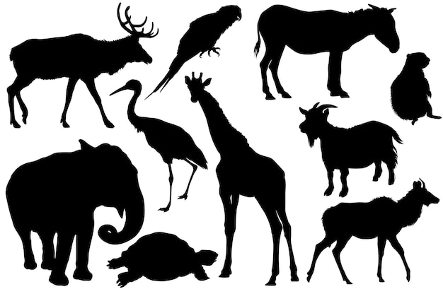 silhuetas de animais