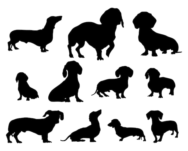 Silhuetas de cachorro bassê silhuetas de animais ilustração vetorial