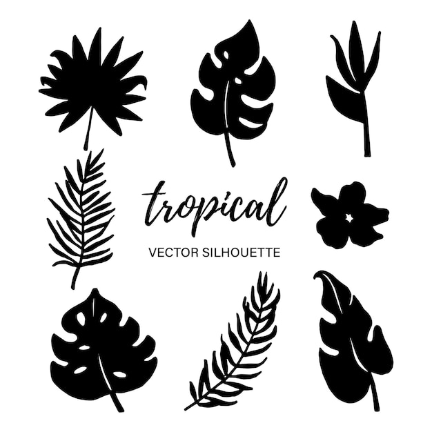 Silhuetas de folha de vetor tropical preto sobre branco ilustração vetorial