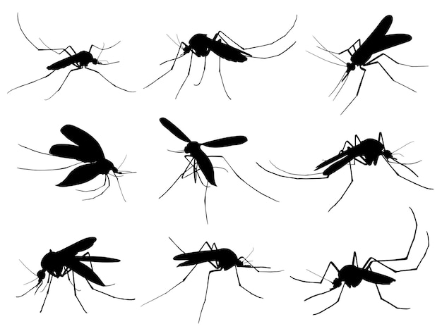 Silhuetas de mosquitos animais