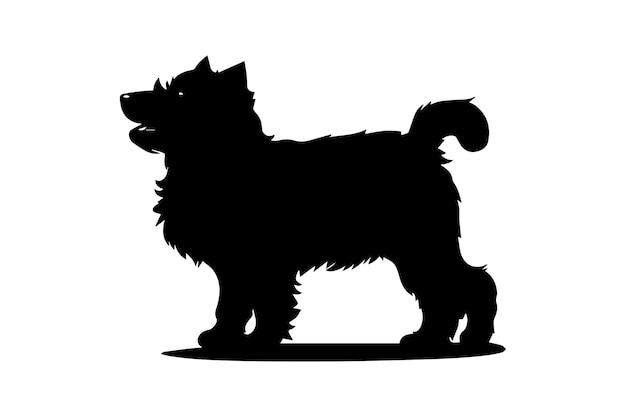 Vetor silhuetas de norfolk terrier cor lisa preta simples e elegante vetor animal de norfolk terrier