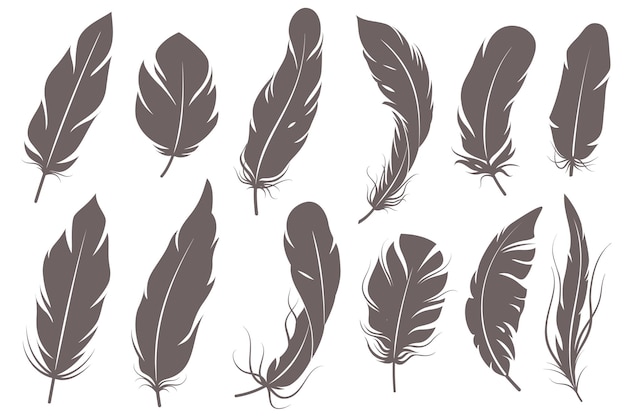 Silhuetas de penas. Diferentes pássaros emplumados, formas gráficas simples, elementos decorativos de caneta, cinza elegante esboço vintage asas de pluma vetor isolado conjunto